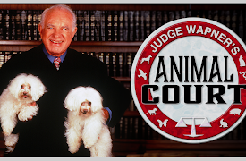 Judge Wapner's Animal Court: Cat's Water Bowl Stained Hardwood Floor, Broken Sliding Glass Door