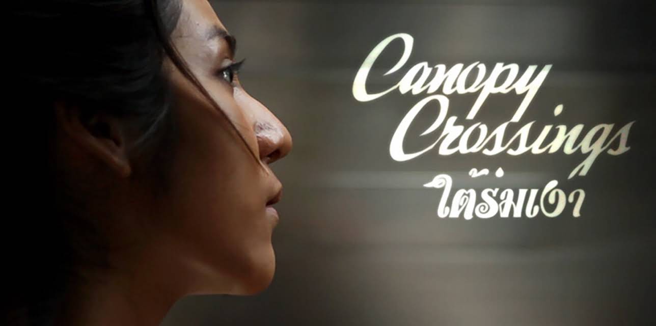 Canopy Crossings (2025)