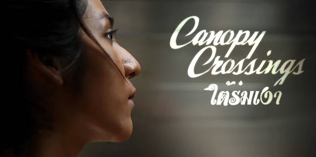 Canopy Crossings (2025)