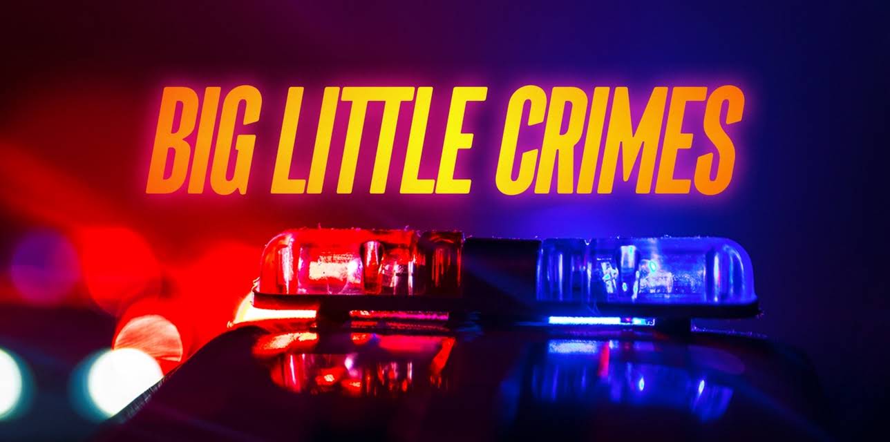 Big Little Crimes