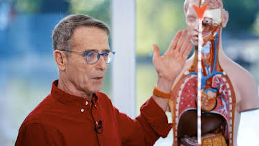 21:00: Die Ernährungs-Docs | SWR Fernsehen BW | 4/15 2026