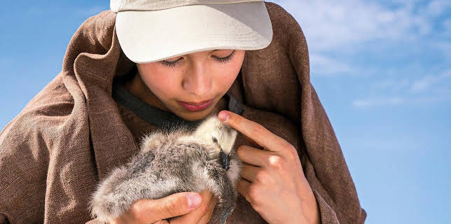 08:30: Der Junge und die Wildgänse | BR Fernsehen | 3/15 2026
