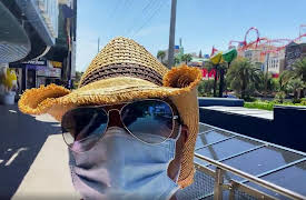 Doubling Down with the Derricos Season 1: Quarantine With Eighteen