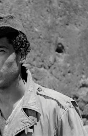 Vittorio Antonucci as 