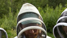 Los secretos de las abejas: Los polinizadores