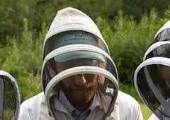 Los secretos de las abejas: Los polinizadores