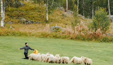 71° nord - team (S5 E9)