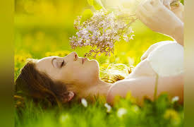 The Meaning of Life: Perspectives from the World's Great Intellectual Traditions: Daodejing - The Best Life Is a Simple Life