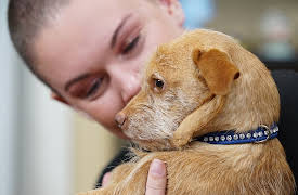 Amanda To The Rescue:  Wildfire Puppy Rescue