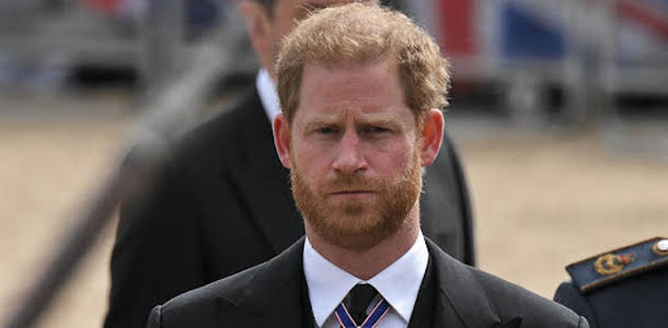 'Spare' the book about Prince Harry's memoirs.