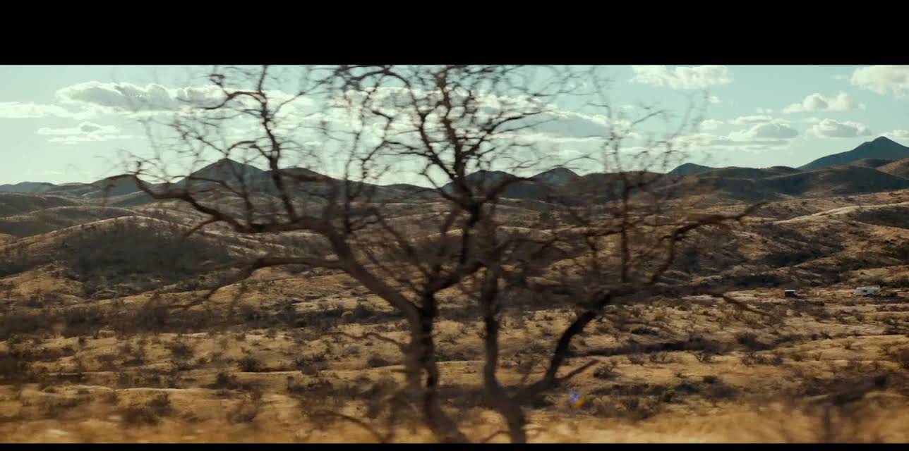 Borderland Blues (2017)