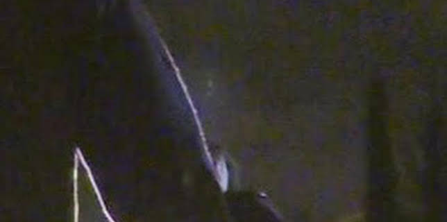 00:51: 091: alerta policía: Episodio 4 | Discovery Max | 2/22 2026