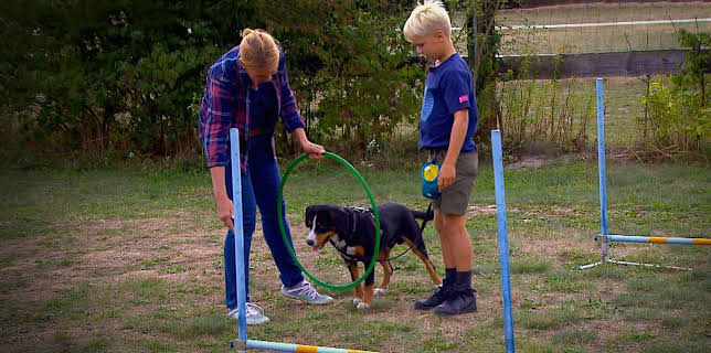 06:05: Liebste Fellnasen - Abenteuer Hundeschule | Das Erste | 2/21 2026