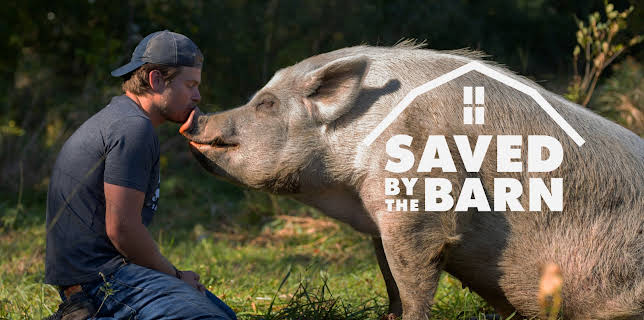 00:45: Saved By The Barn (S1 E2) (S1) | Animal Planet | 11/3 2025