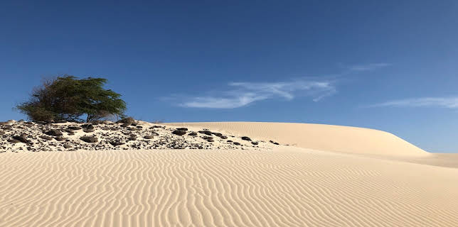 14:05: Im Land der Feuerberge (2/4) | 3SAT | 11/24 2025