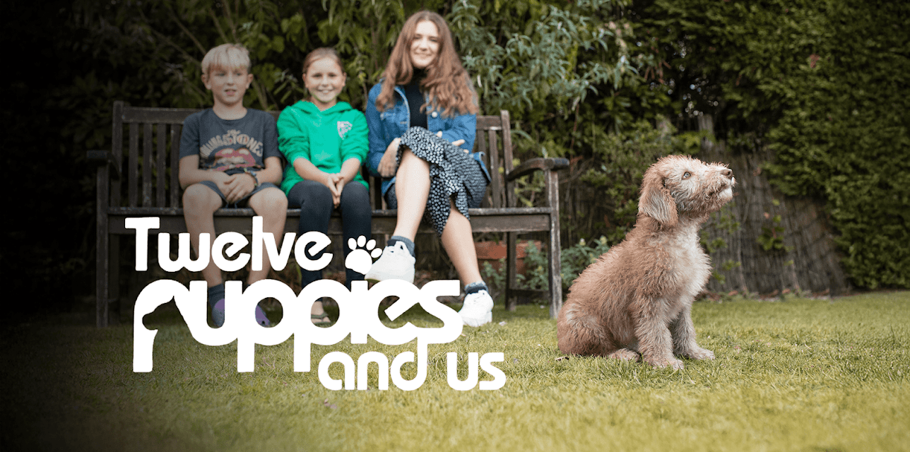 12 Puppies and Us
