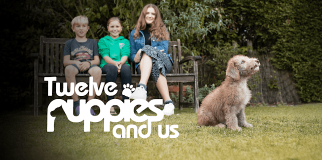 12 Puppies and Us