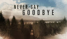 Never Say Goodbye (S1 E3)