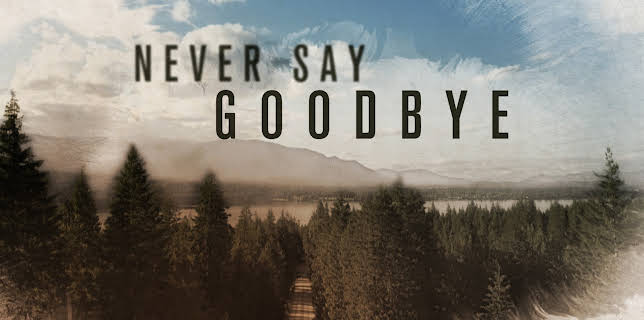 Never Say Goodbye
