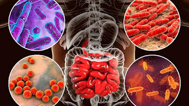 11:40: aktiv und gesund | SR Fernsehen | 4/13 2026