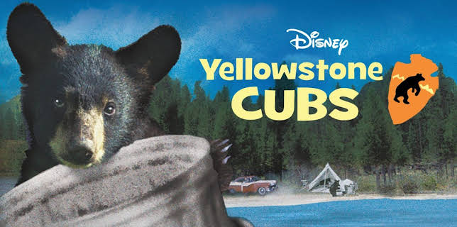 Yellowstone Cubs (2026)