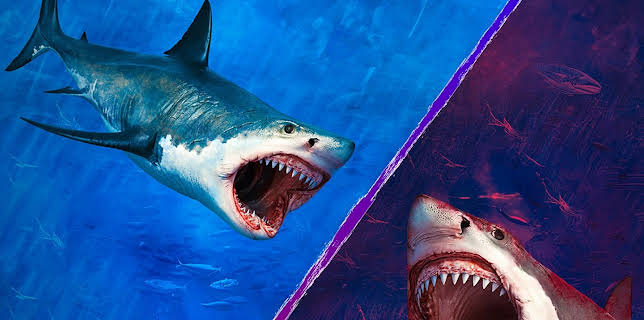 Weißer Hai vs. Megalodon