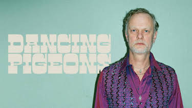 15:50: Dancing pigeons | SVT2 | 6/12 2026