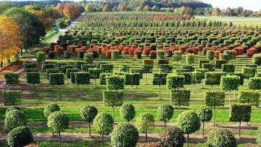 12:00: Unsere Geschichte | Radio Bremen | 4/18 2026