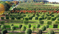 Bäume für die Welt - Die Baumschule von Ehren