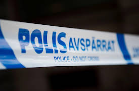 Crime Scene Sweden S01: Death in Arboga - part 2