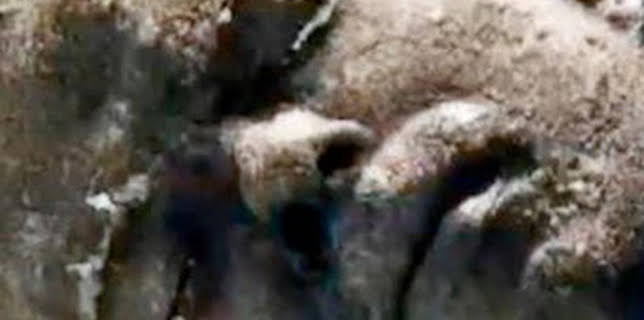 22:30: Expedición: archivos del pasado: Finales trágicos | Discovery Max | 1/9 2026