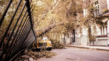 11:25 PM: 999 Special: The Great Storm of 1987 | BBC Four | 10/13 2026