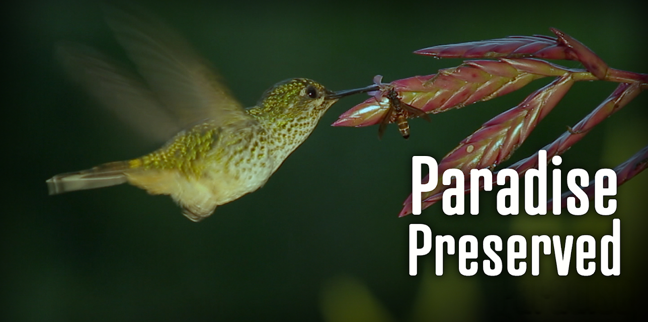 Paradise Preserved