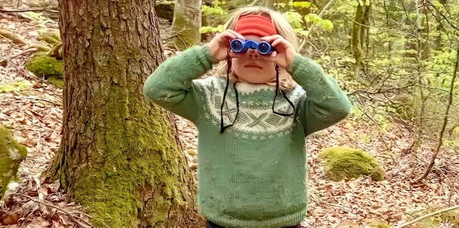 15:55: Nysgjerrige Noah: Biller og bark | NRK Super | 1/20 2026