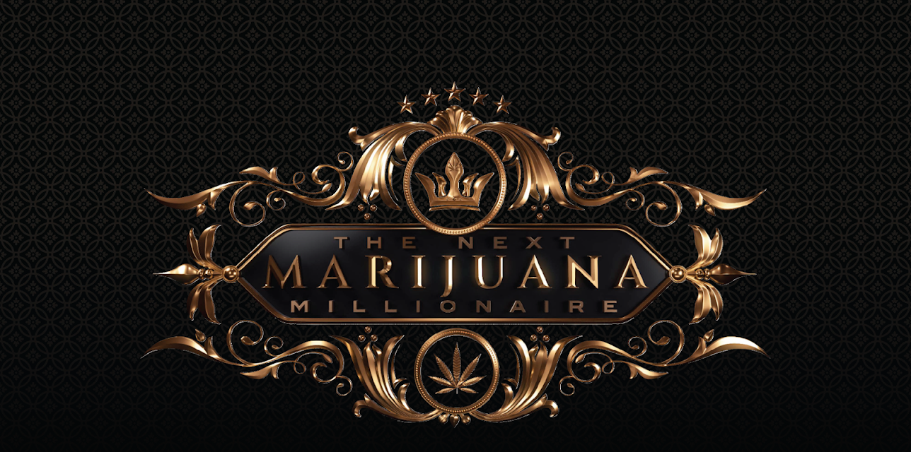 The Next Marijuana Millionaire