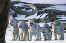 Life on Our Planet: Kapitel 8: Age of Ice and Fire