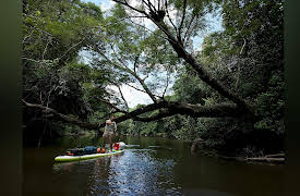 Expedition with Steve Backshall: Season 1: Suriname: Lost World