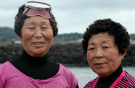 Forces of Nature: The Universe in a Snowflake