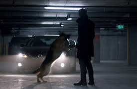 Hudson & Rex Season 1: A Cult Education