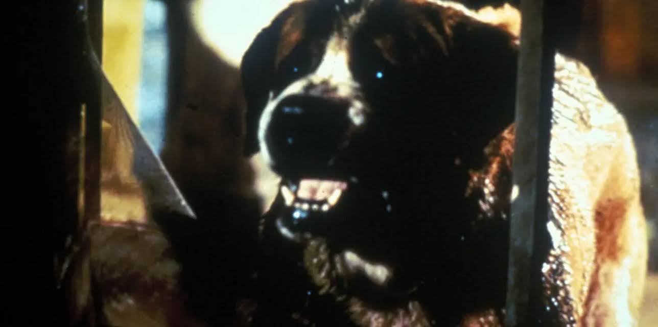 Cujo (1983)