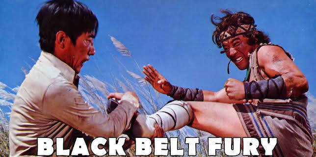 Black Belt Fury (1976)