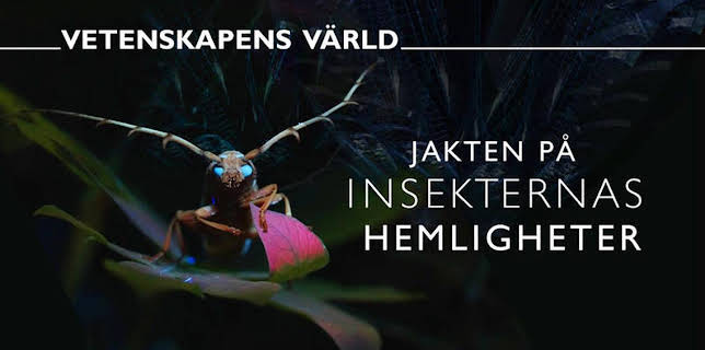 18:00: Vetenskapens värld: Jakten på insekternas hemligheter | SVT2 | 3/17 2026