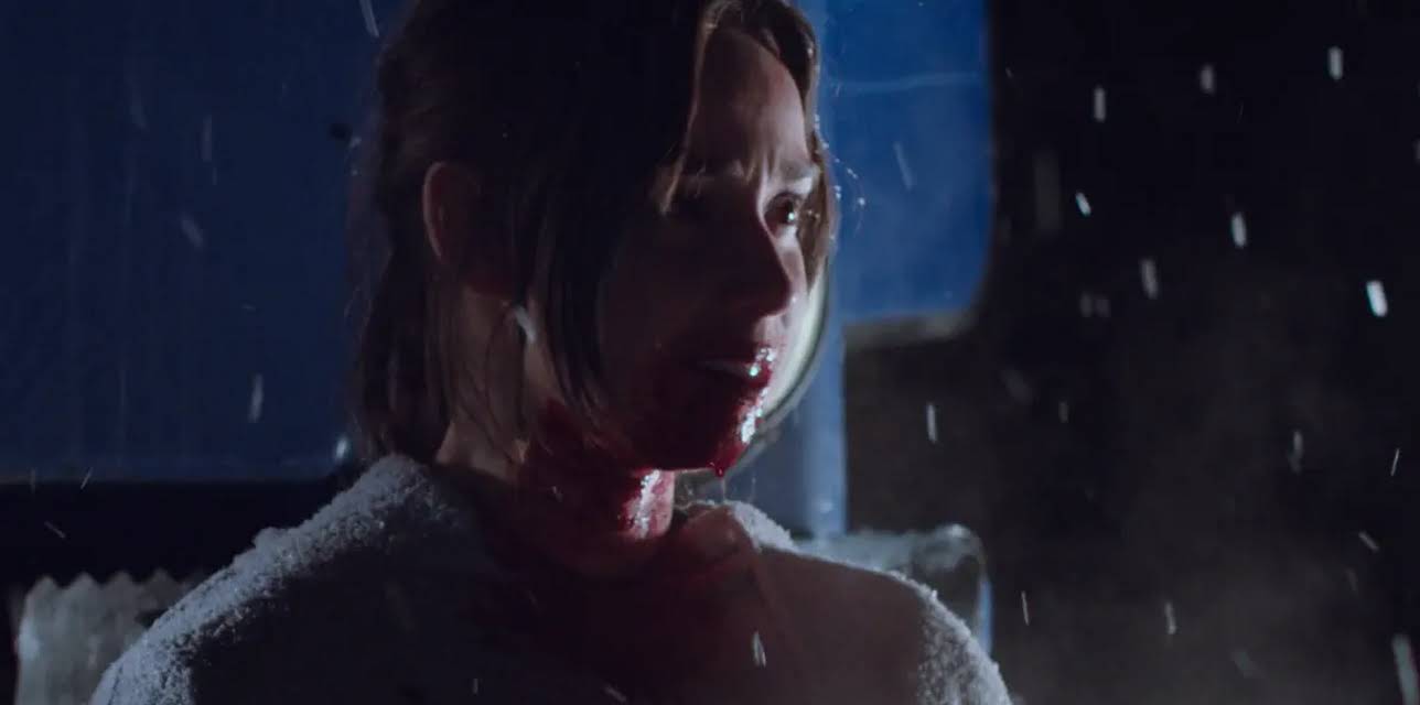 Blood and Snow (2023)