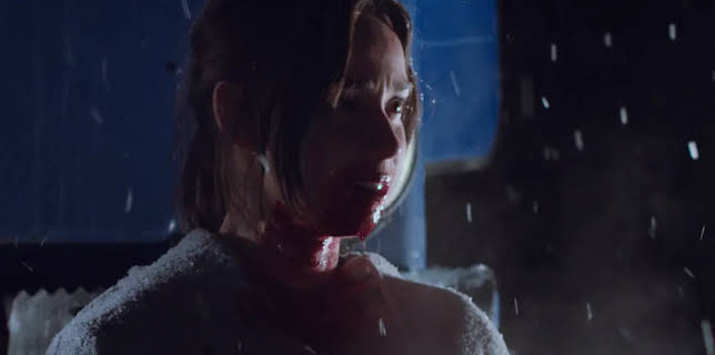 Blood and Snow (2023)