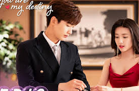 You are My Destiny: You are My Destiny EP13