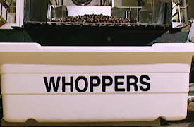 Unwrapped, Season 1: Movie Candy Unwrapped