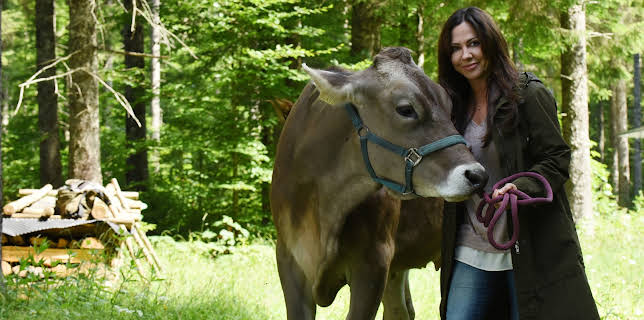 02:15: Frühling - Mehr als Freunde | ZDF | 2/27 2026