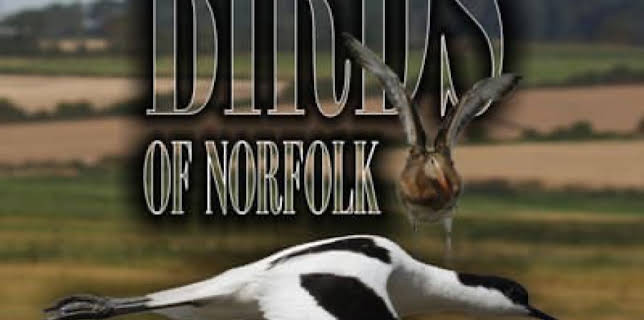 Birds of Norfolk (2010)