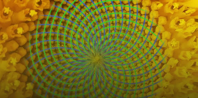 Nature's Mathematics