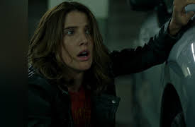 Stumptown Season 1: Rip City Dicks